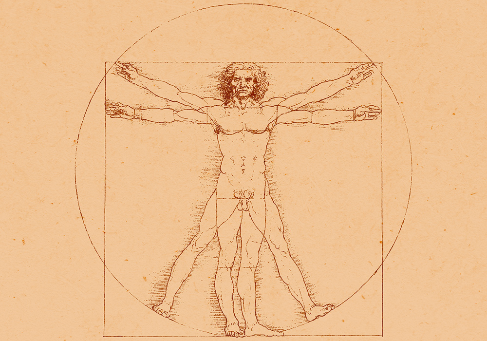 da vinci dibujo hombre